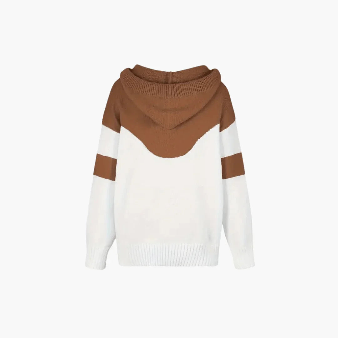 Cozy Colorblock Hoodie for Women  Modern and Stylish