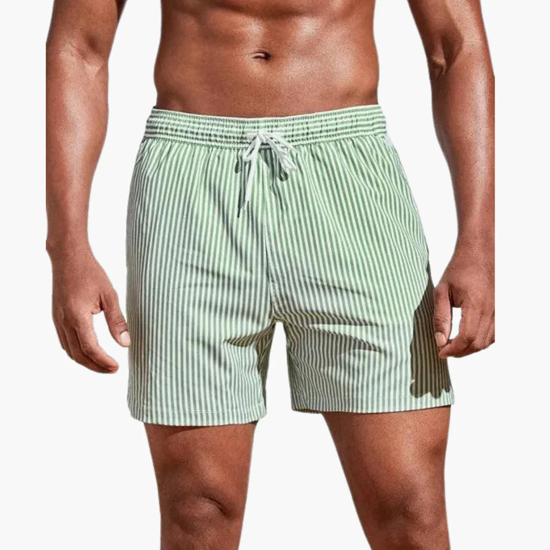 Swim Shorts - Men's Striped & Quick-Drying Summer