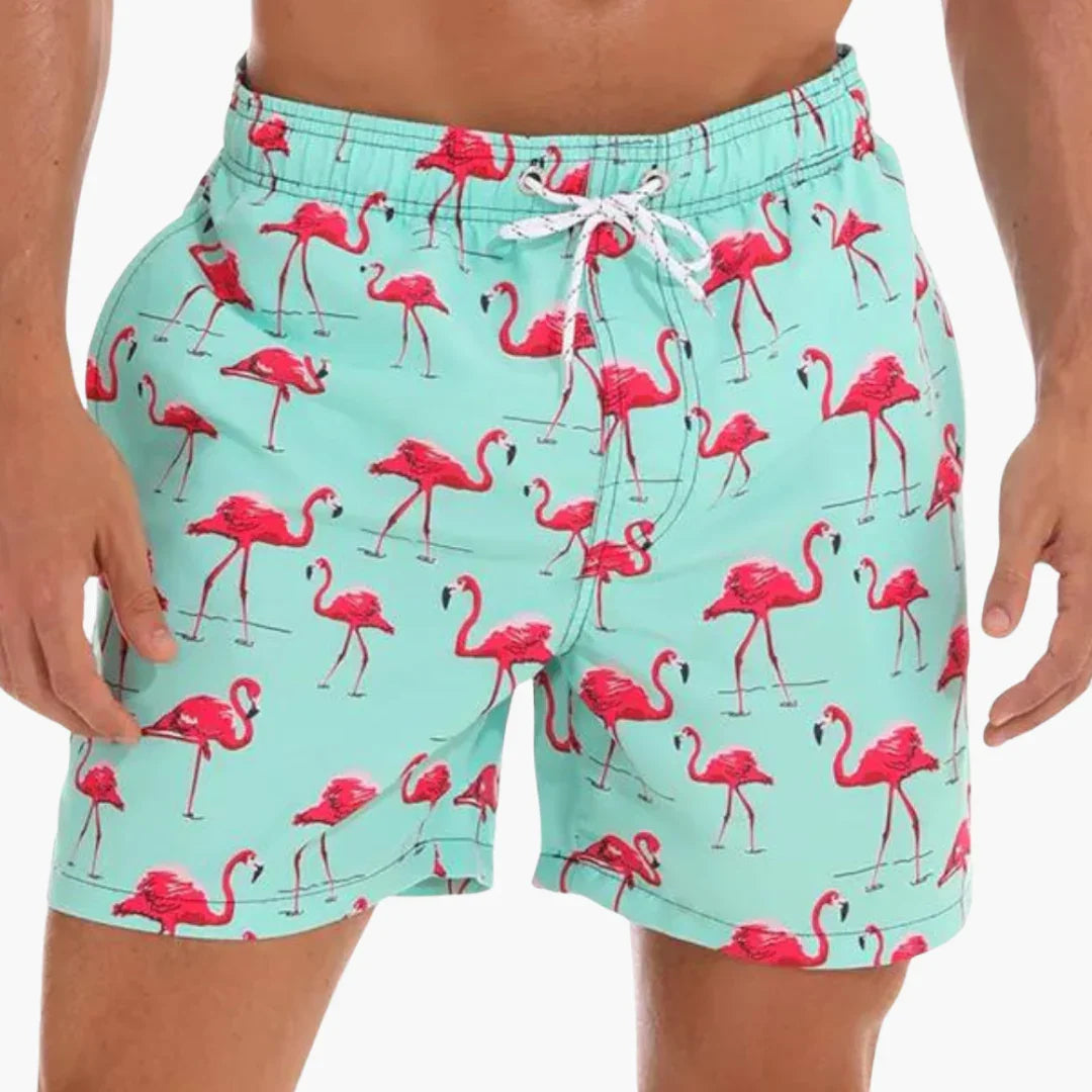 Swim Shorts with Inner Lining - Men's Quick-Dry Swim Shorts