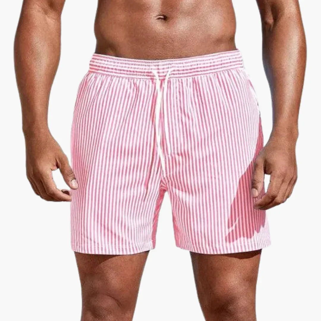 Swim Shorts - Men's Striped & Quick-Drying Summer