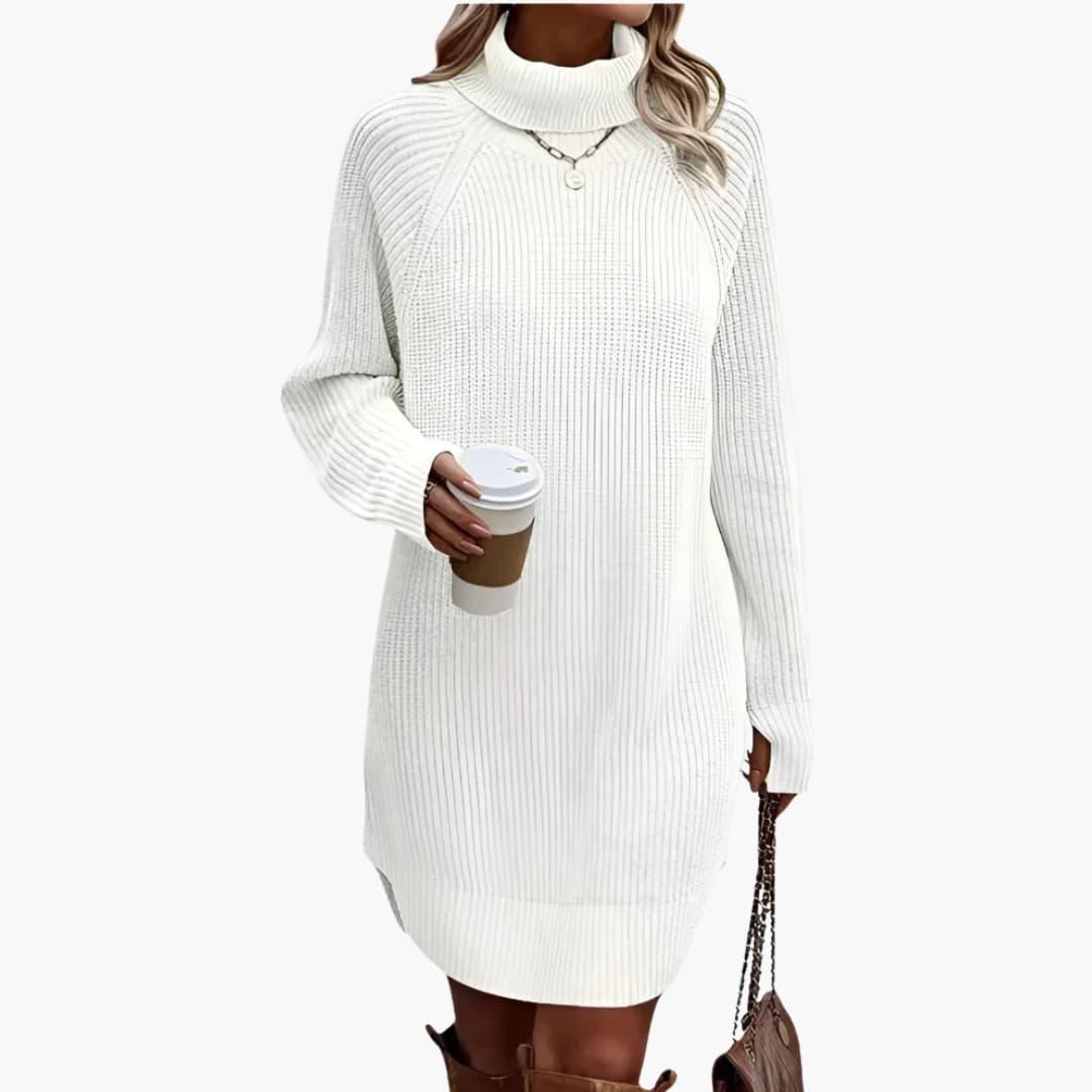 Women's Knit Dress with Turtleneck and Long Sleeves